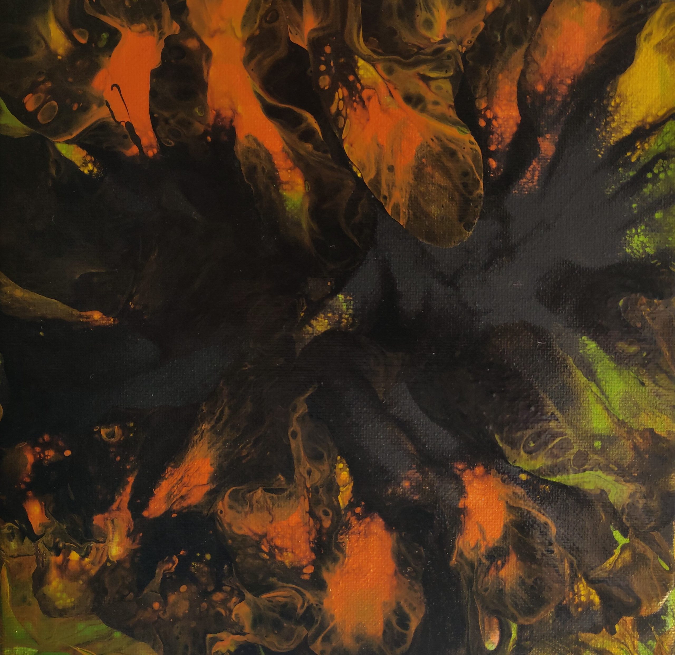 Forest Fire