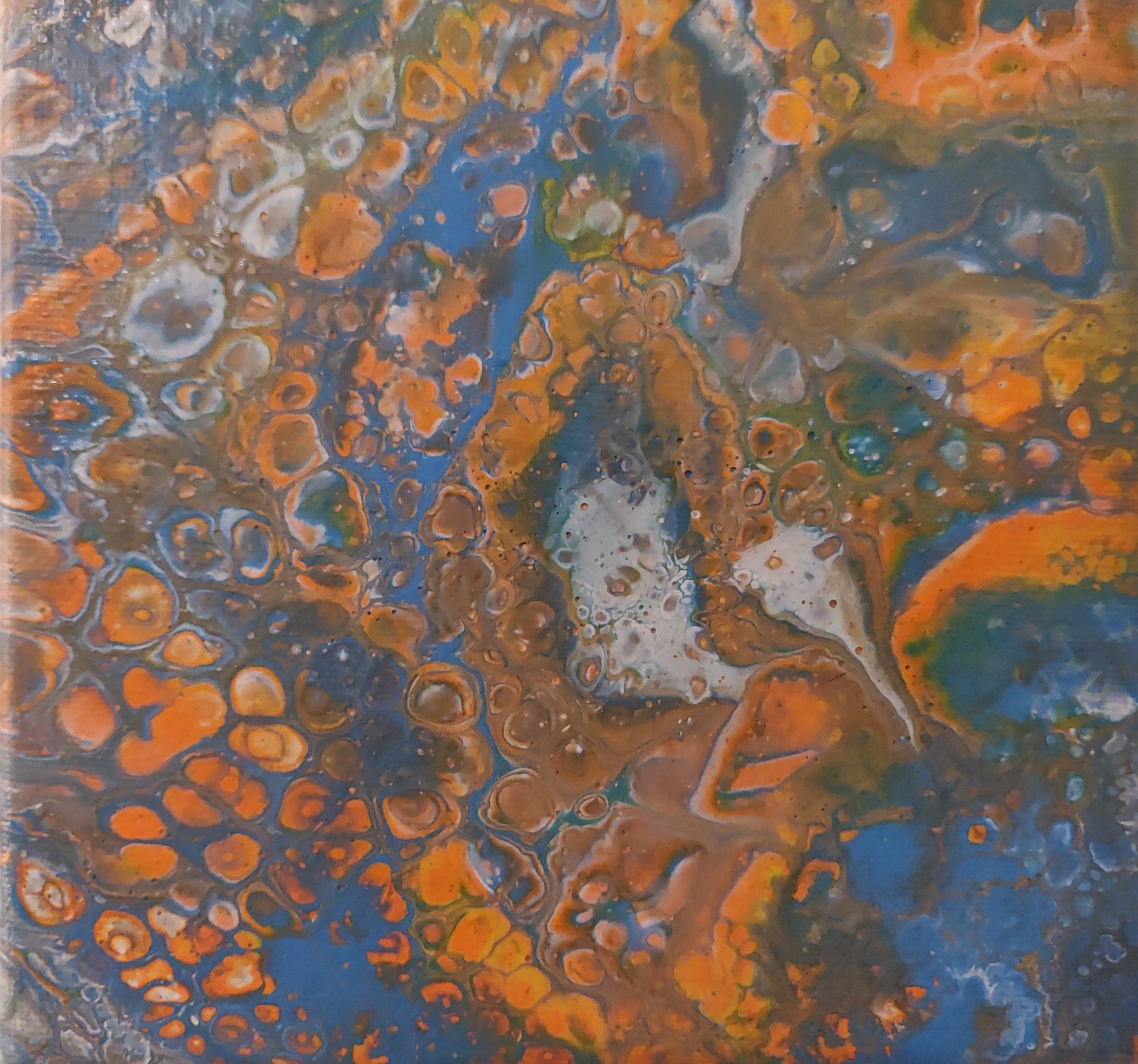 Dream World