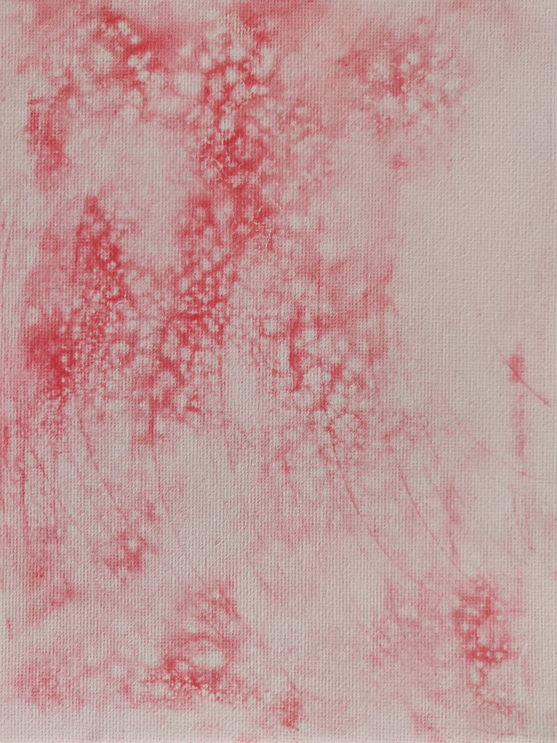 Pink Fog